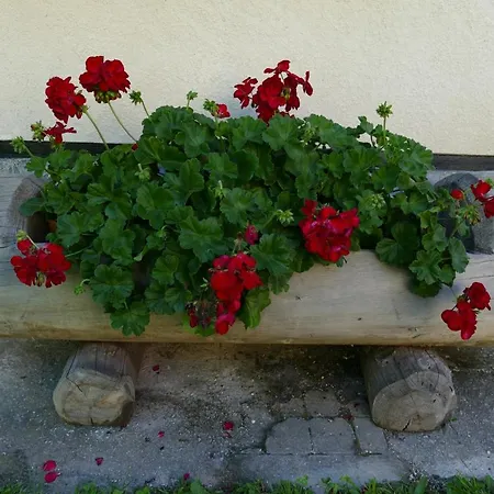 Ela Apartmán Rateče