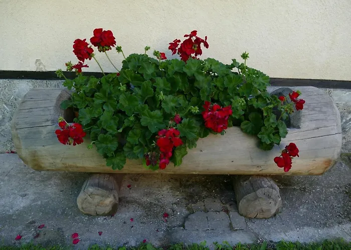 Ela Apartman Rateče